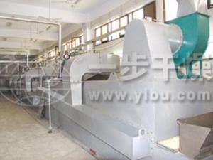 Belt Dryer for Dehydrated Vegetables