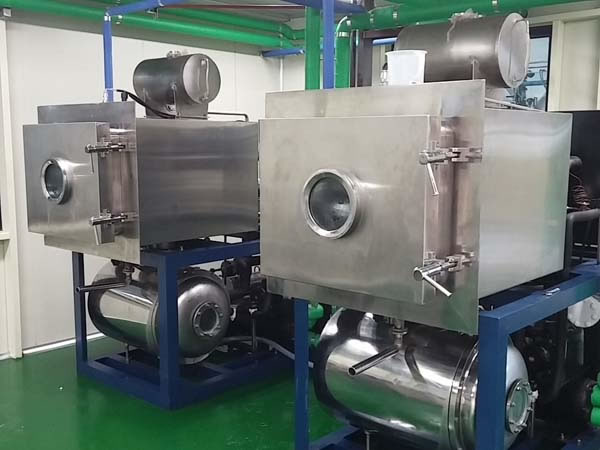  Vacuum Freeze Dryer 