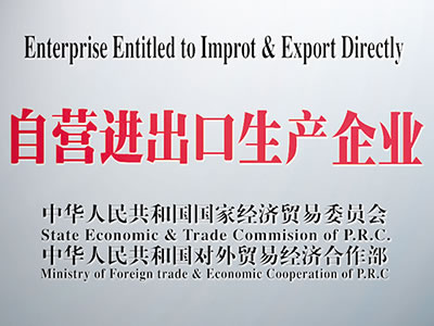 CE Certificate